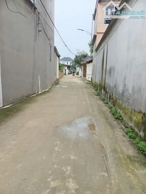 Ảnh 2