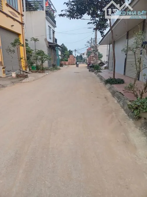 Ảnh 2