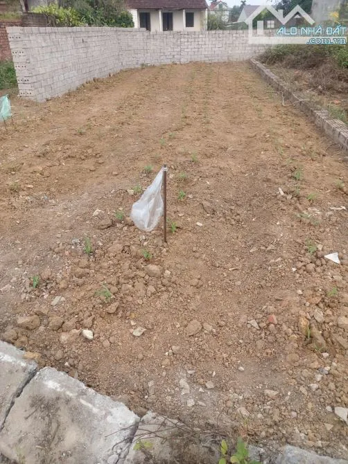 Ảnh 3
