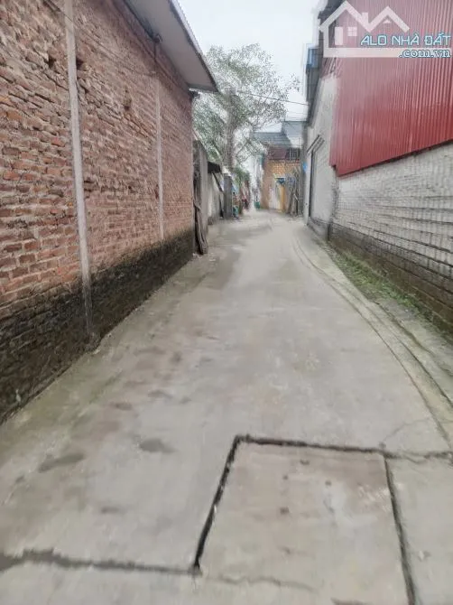 Ảnh 2