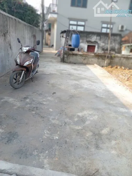 Ảnh 2