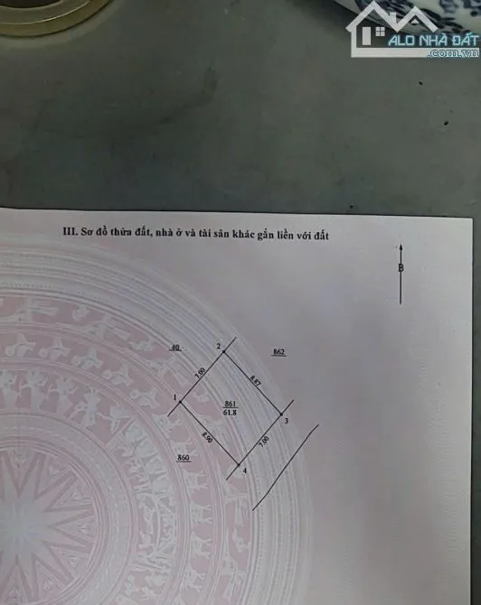 Ảnh 4