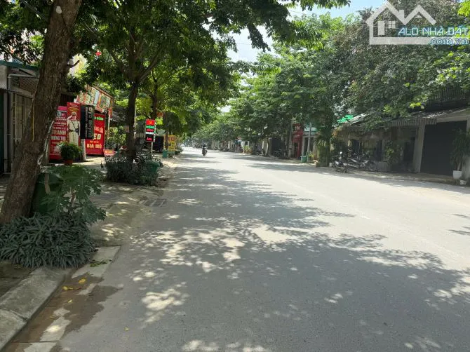 Ảnh 2