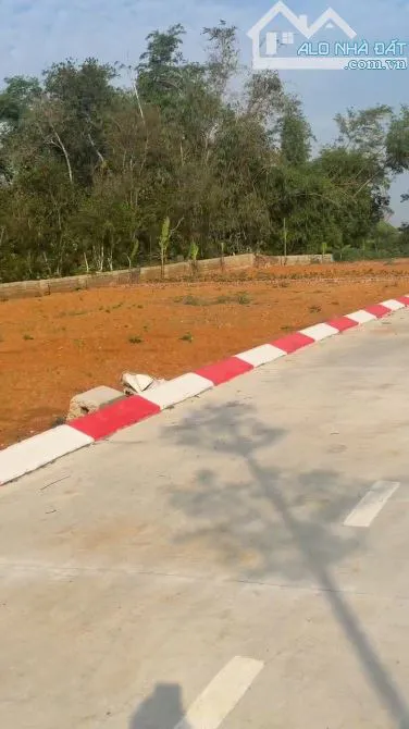 Ảnh 4