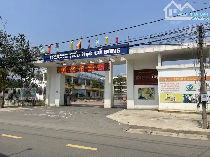 Ảnh 5