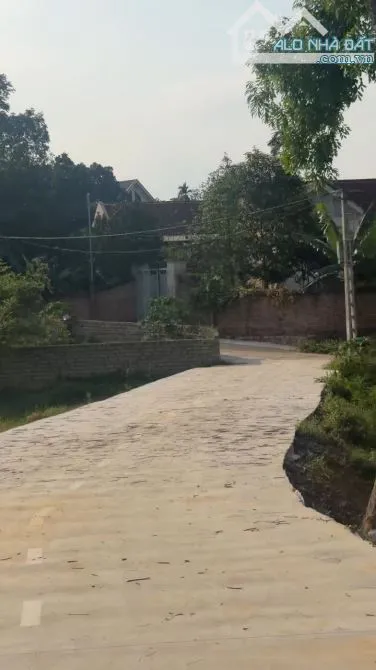 Ảnh 3