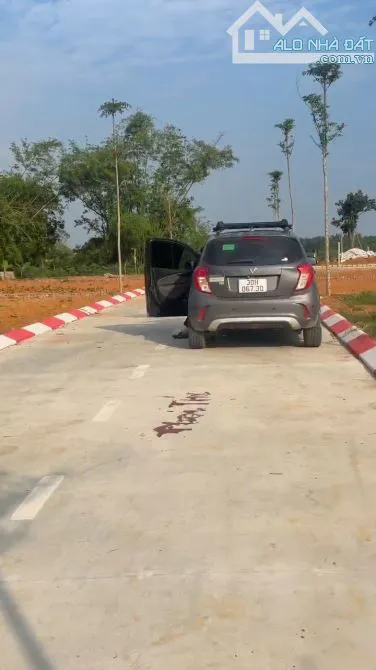 Ảnh 2