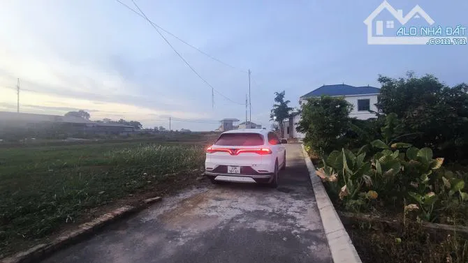Ảnh 2