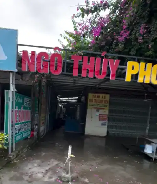 Ảnh 7